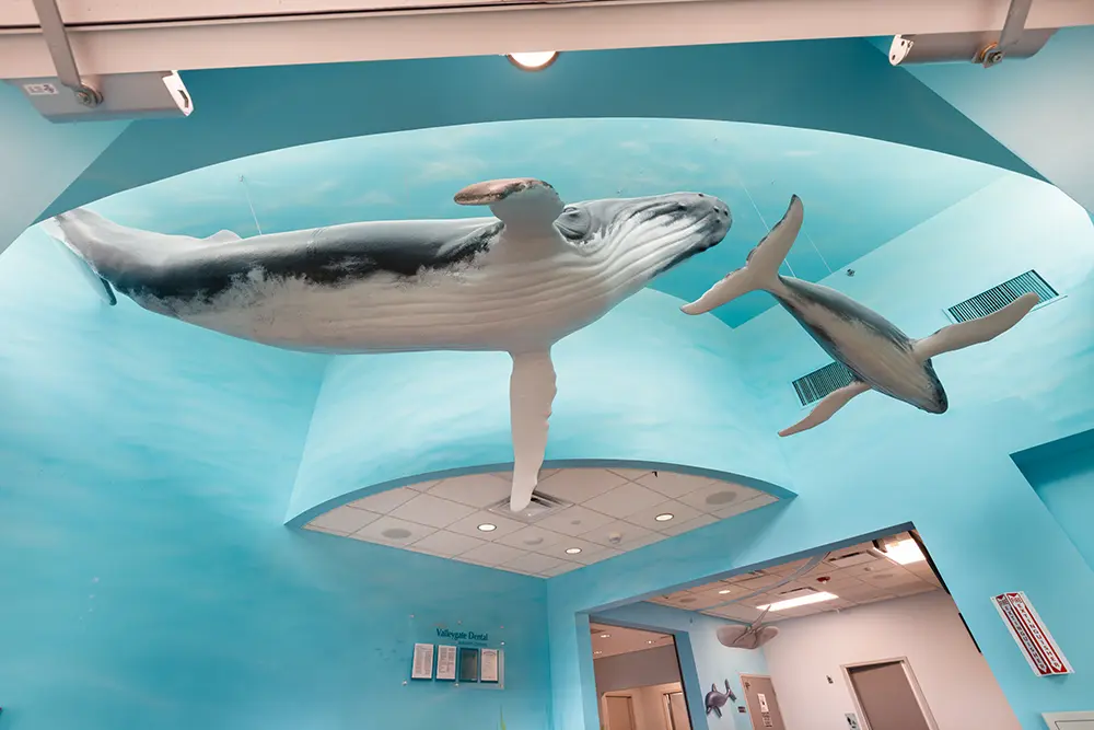 Valleygate Dental Surgery Center Greensboro 20251122 006