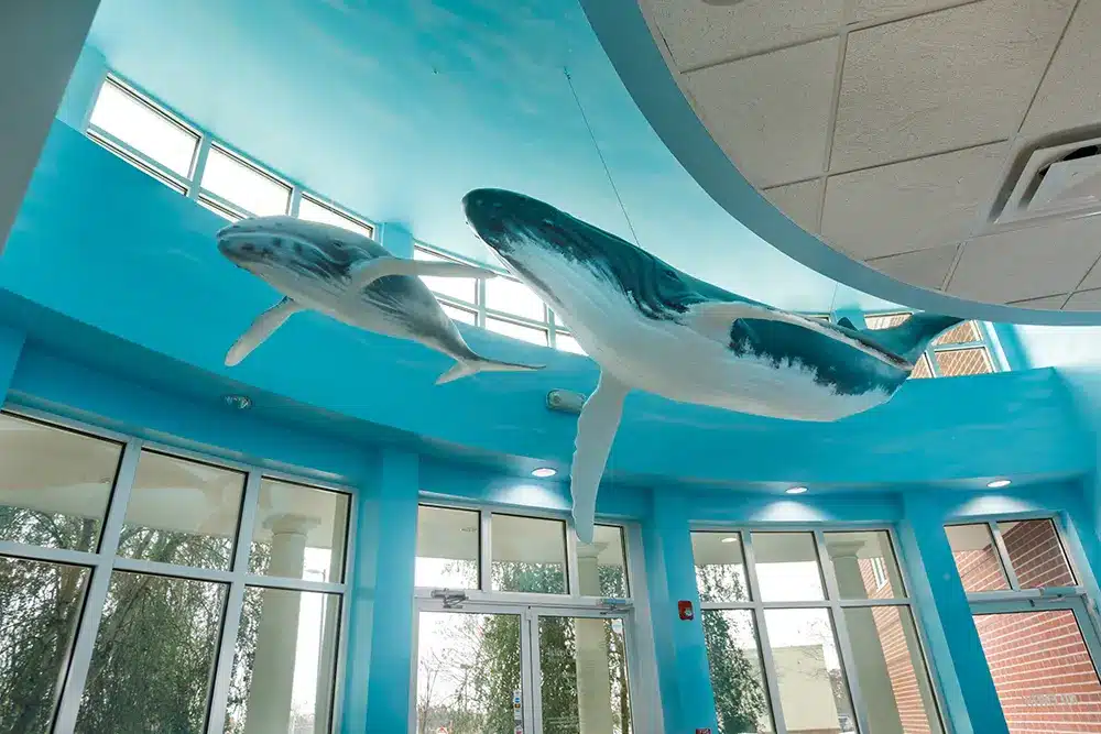 Valleygate Dental Surgery Center Greensboro 20251122 007