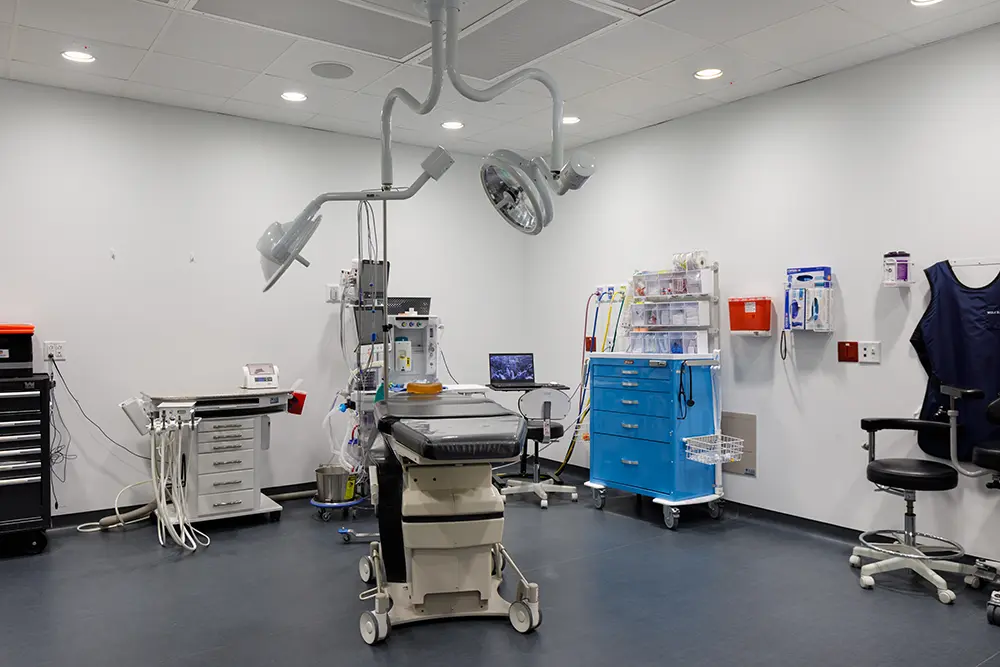 Valleygate Dental Surgery Center Greensboro 20251122 018